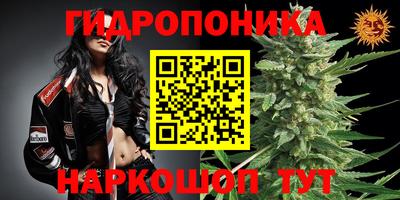 хмурый Славгород